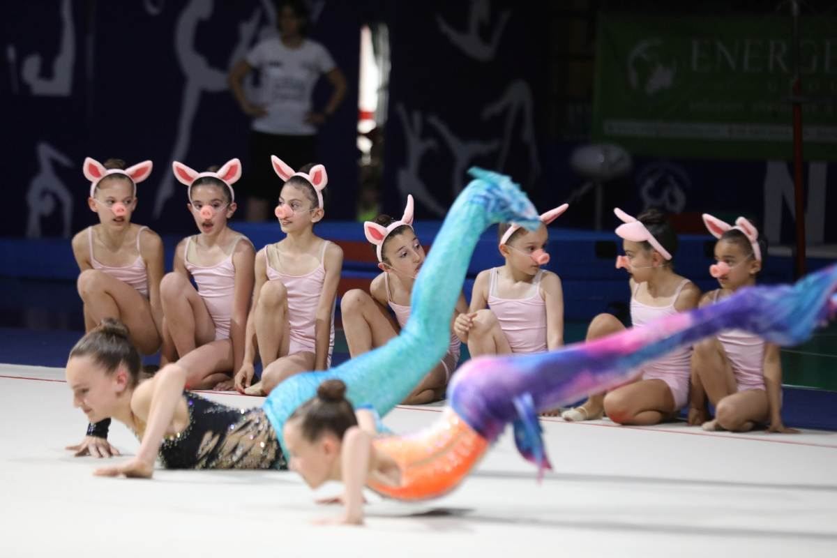 CuneoGinnastica Gallery 2025 221