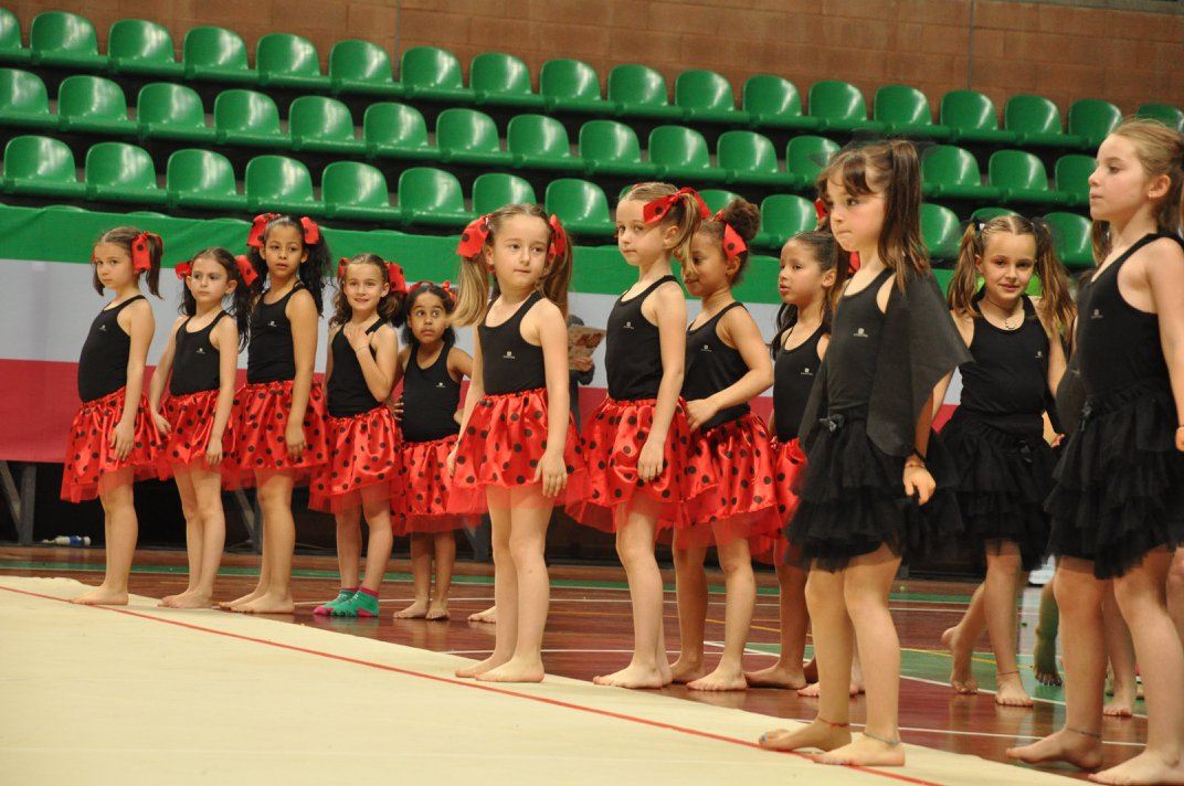 CuneoGinnastica Gallery 2016 2019 178