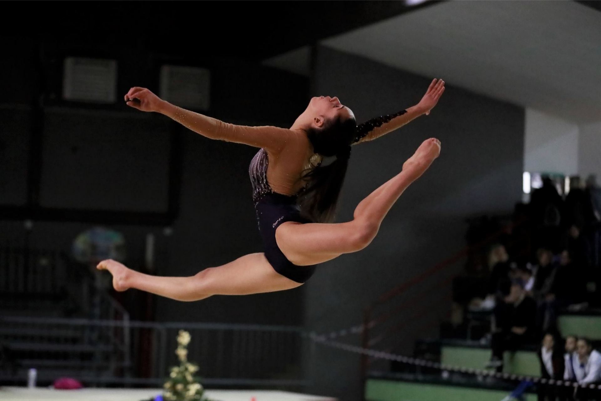 CuneoGinnastica Gallery 2016 2019 84