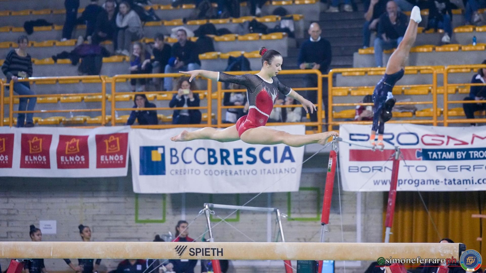 CuneoGinnastica Gallery 2024 30