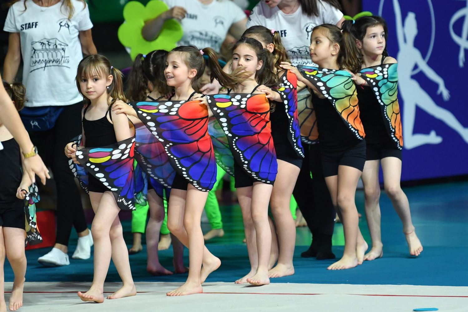 CuneoGinnastica Gallery 2024 8