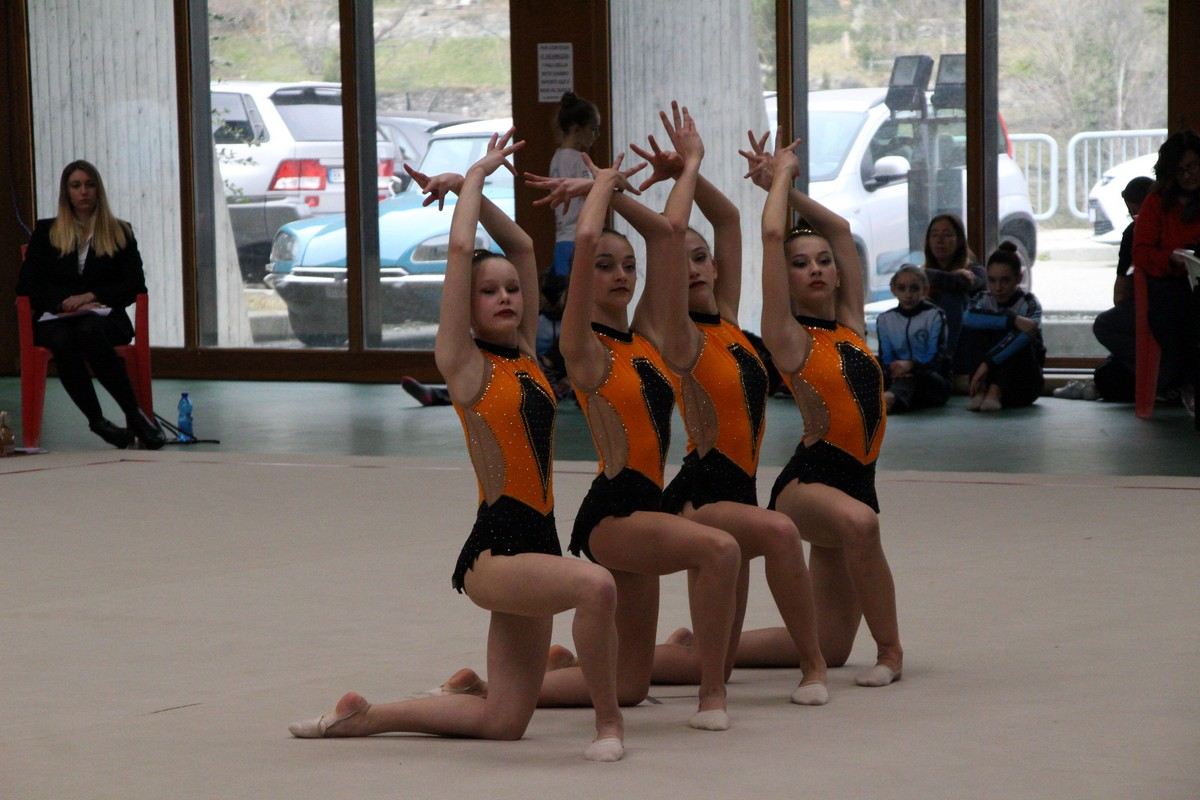 CuneoGinnastica Gallery Gr 2