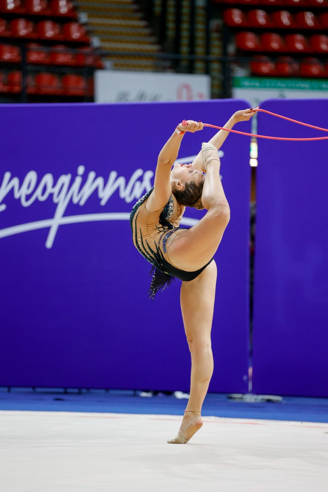 CuneoGinnastica Gallery Winterclub 2024 22